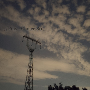 Choice 80
