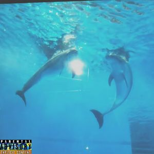 【Free】“4GET U”Pluggnb×Hyperpop Typebeat