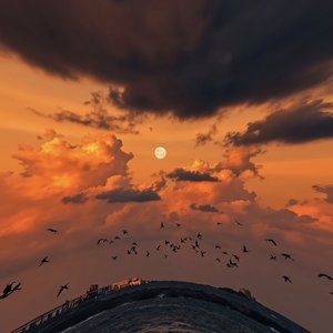 做你真正的朋友