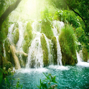 Enchantment's Realm