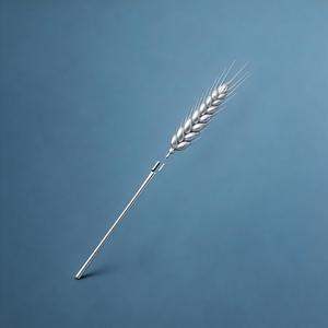 潇洒醉风行（烟嗓版）