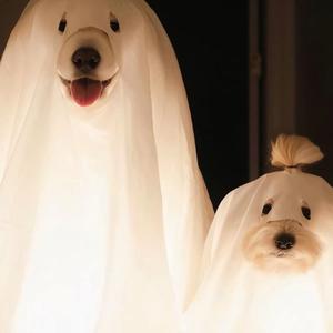 Love Story 罗密欧与朱丽叶