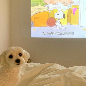 上课铃声响起来.wav