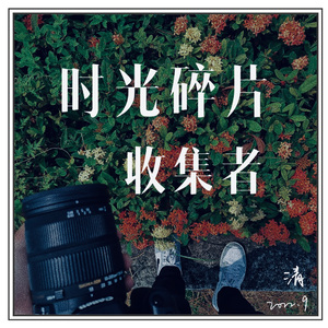 时光碎片收集者