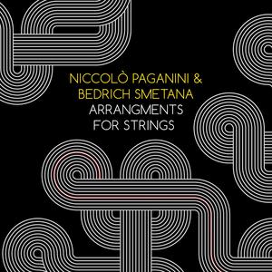 String Quartet No. 2 in D Minor: III. Allegro non piu moderato, ma agitato - E con fuoco