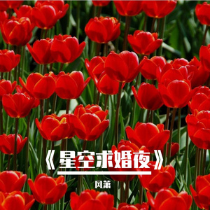 《星空求婚夜》