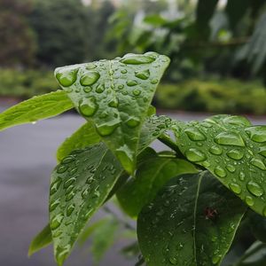 2025年的最后一场雪