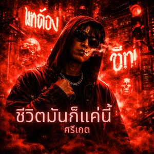 ชีวิตมันก็แค่นี้