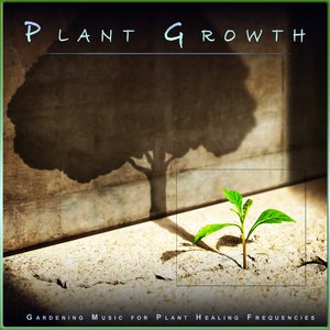 Plant Growth Music