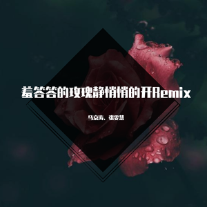 孟庭苇-羞答答的玫瑰静悄悄地开（马京涛（Atk） / 张雯慧 remix）
