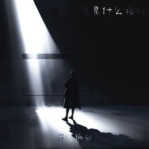 爱是什么模样（氛围版）