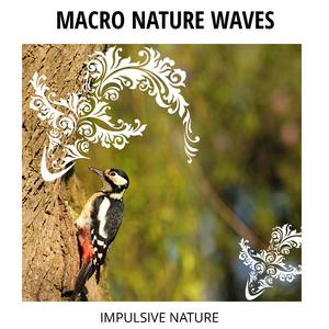 Rituals of New York Tennessee Fall