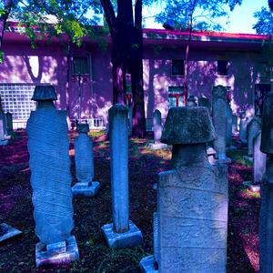 Nekropol (feat. Yiğit Dalgın)