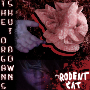 Outro (The Organs Shut Down)