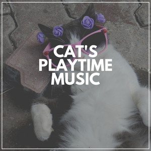 Your Kitten's Hobby to Listen