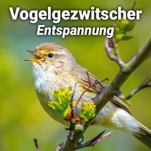 Vogelchor