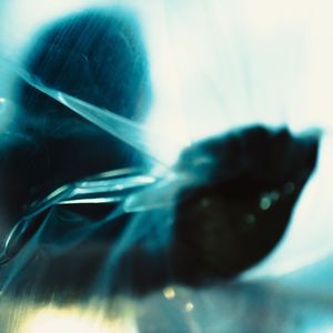 อย่างเธอเท่าไหร่ก็ไม่พอ (Devil Within)