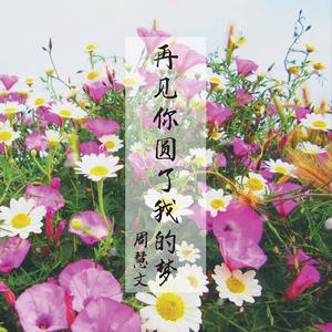 再见你圆了我的梦