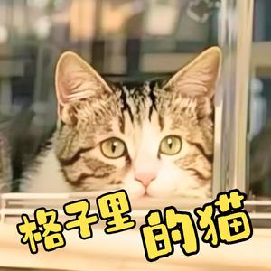 格子里的猫.WAV