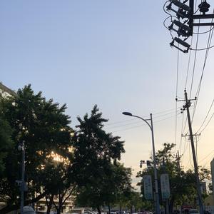 会呼吸的痛（cover：王琪玮）