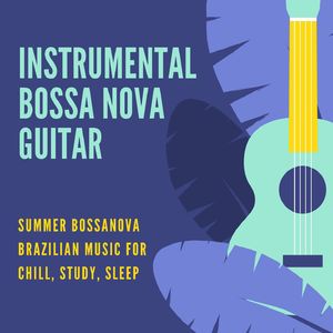 Bossa Nova Party