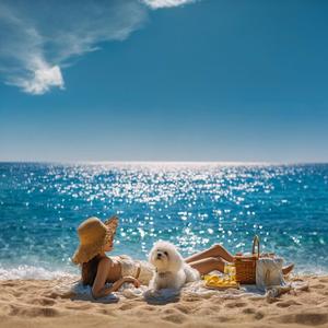 Summer Never Ends