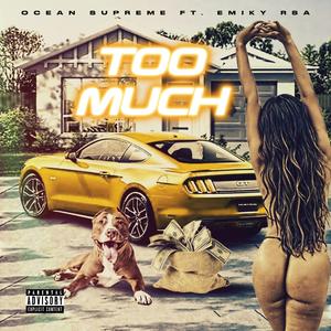 TOO MUCH (feat. Emiky RSA)