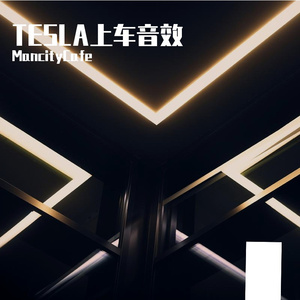 全境封锁上车音效