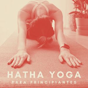 Dinámicas de Relajación