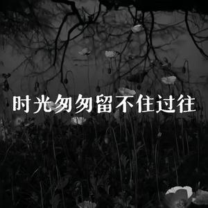 时光匆匆留不住过往