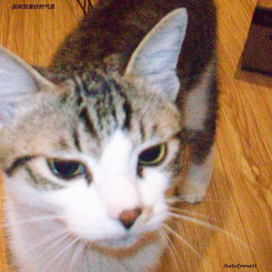 我闻到曼妙的气息