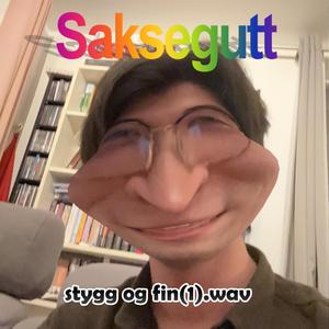 stygg og fin(1).wav