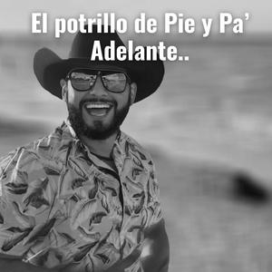 El potrillo de Pie y Pa’ Adelante..