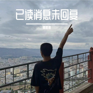 已读消息未回复