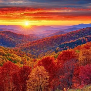 为什么火的不是我.mp3