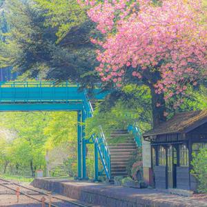 鱼玄机（cover锦零）