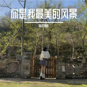 你是我最美的风景
