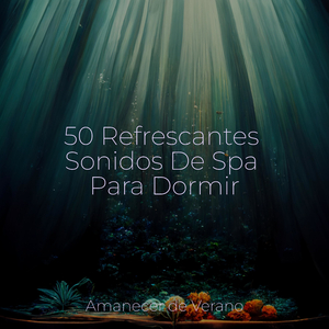 Sueños Desvanecidos Revelados
