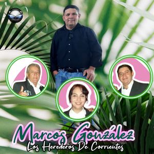 Vuelvo a Elegirte