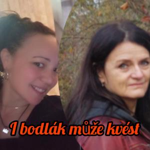 I bodlák může kvést