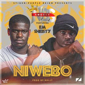 Niwebo