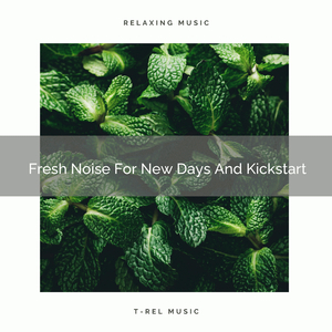 Fresh Noise For New Days And Fast Getup