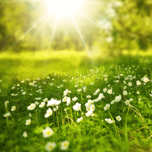 月光曲 完整版 贝多芬