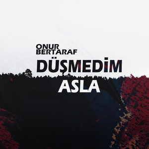 Düşmedim Asla