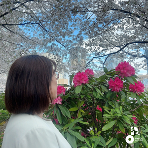 夢を覚えていますか (INSTRUMENTAL)