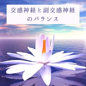 交感神経と副交感神経のバランス