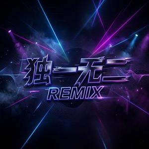 独一无二 (民乐DJ版) (Cover 郑秀文)