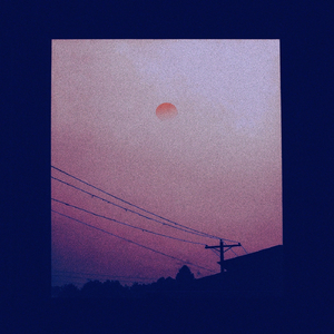 Sharp Shoulder to Lean On