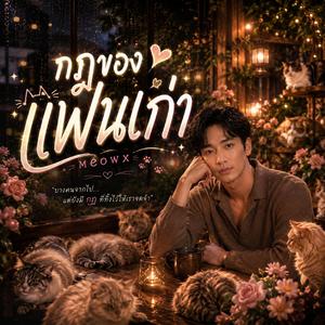 กฎของแฟนเก่า