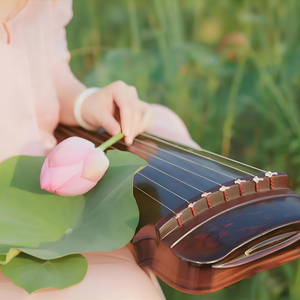 古琴版 养肝音乐